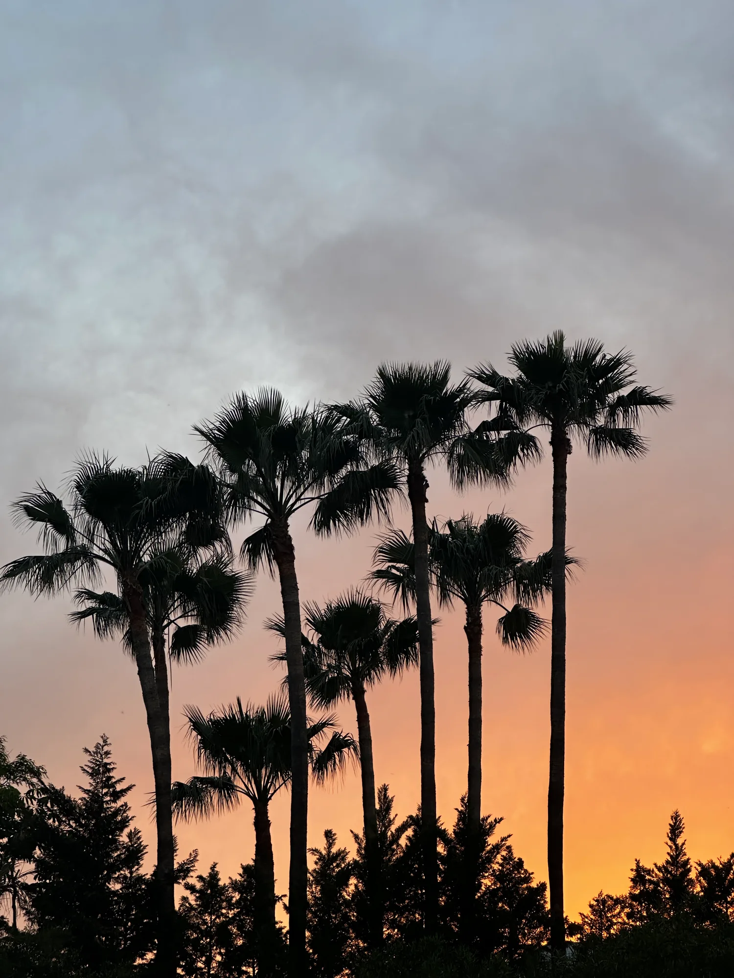What is it really like to live in Limassol?